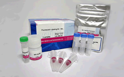 Fluorescein Labeling Kit - NH2