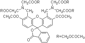 '-Cellstain- Calcein-AM