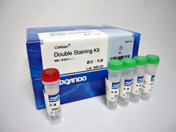 '-Cellstain- Double Staining Kit