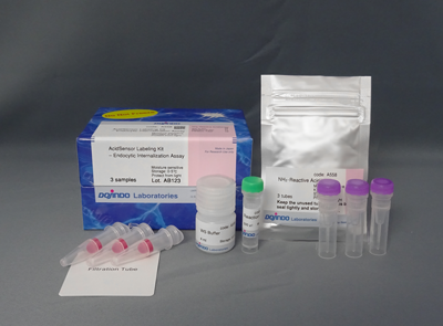 AcidSensor Labeling Kit  Endocytic Internalization Assay