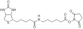 Biotin-AC5-OSu