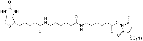 Biotin-(AC5)2 Sulfo-OSu
