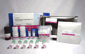 '-Nucleostain- DNA Damage Quantification Kit -AP Site Counting-