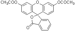 '-Cellstain- FDA