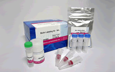 Biotin Labeling Kit - NH2