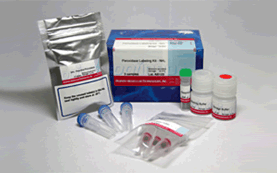 Peroxidase Labeling Kit - NH2