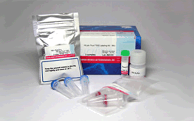 HiLyte Fluor 555 Labeling Kit-NH2