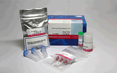 HiLyte Fluor 647 Labeling Kit-NH2