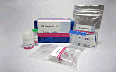 ICG Labeling Kit - NH2