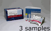 Ab-10 Rapid Fluorescein Labeling Kit