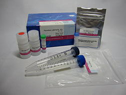 Peroxidase Labeling Kit - NH2 (for 1mg)