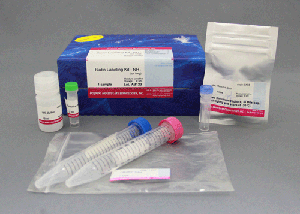 Biotin Labeling Kit-NH2 (for 1mg)