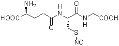 S-Nitrosoglutathione