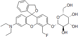 SPiDER-betaGal